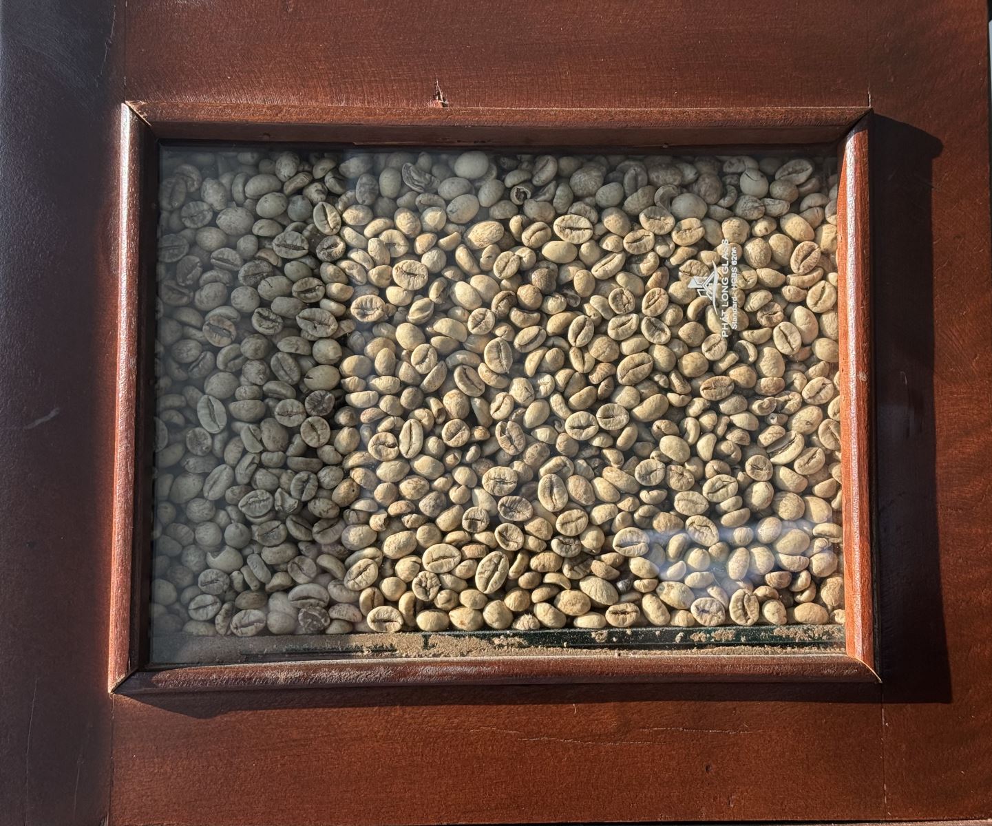 GIÁ CÀ PHÊ NHÂN ROBUSTA NGÀY 25/03/2026