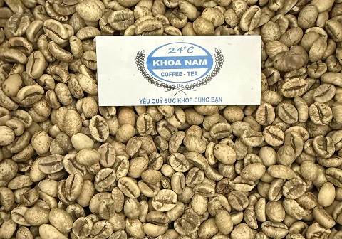GIÁ CÀ PHÊ SỐNG LOẠI ROBUSTA NGÀY 07/05/2025