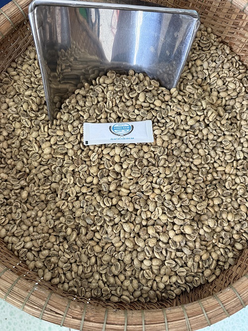 GIÁ CÀ PHÊ SỐNG LOẠI ROBUSTA NGÀY 10/07/2025