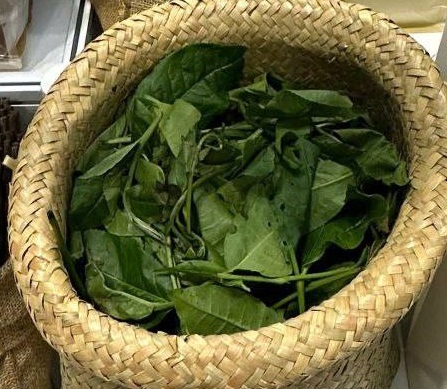 05 LOẠI THỨC UỐNG GIÚP TĂNG CƯỜNG LƯU THÔNG MÁU